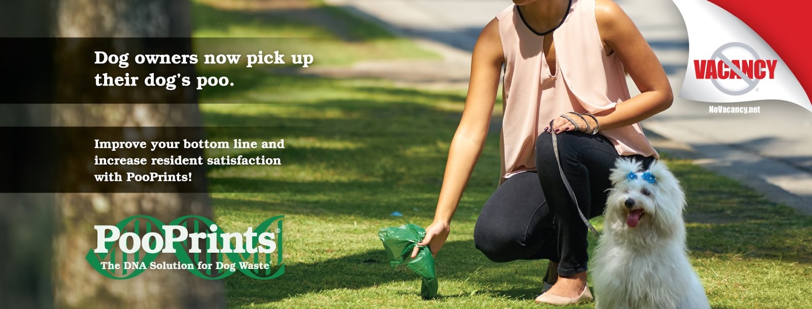 PooPrints by No Vacancy - Photo 4