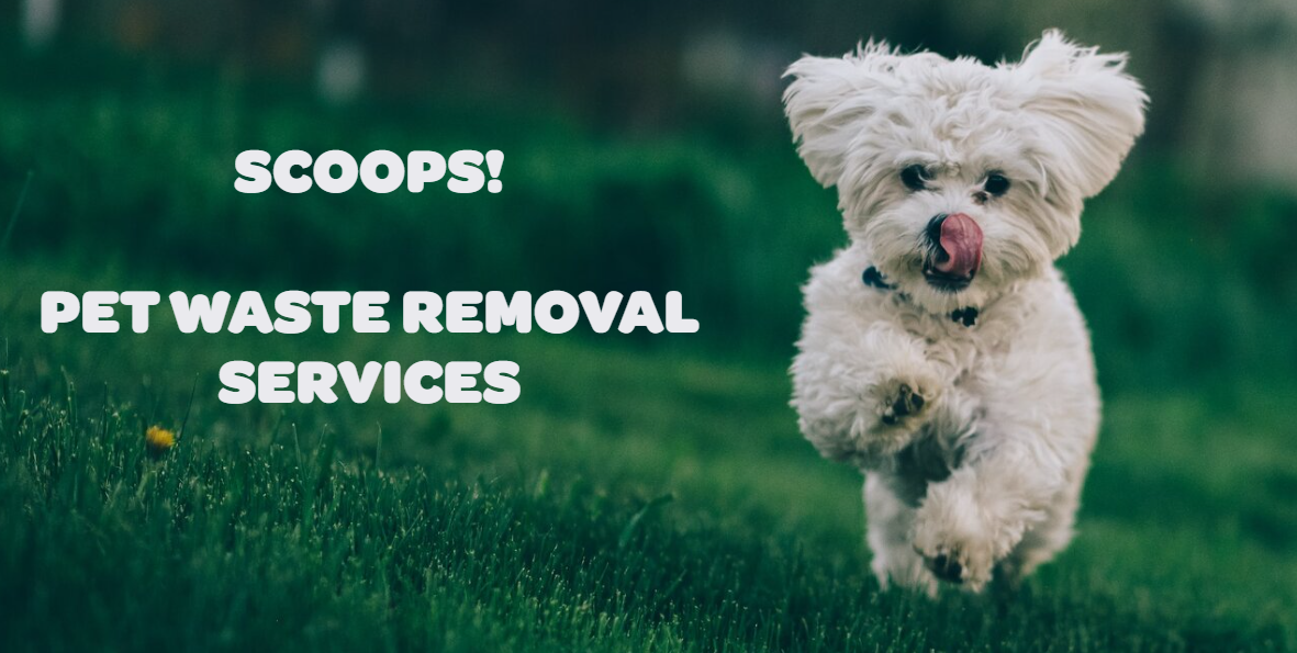 Scoops! Pet Waste Removal & Poop Scooping