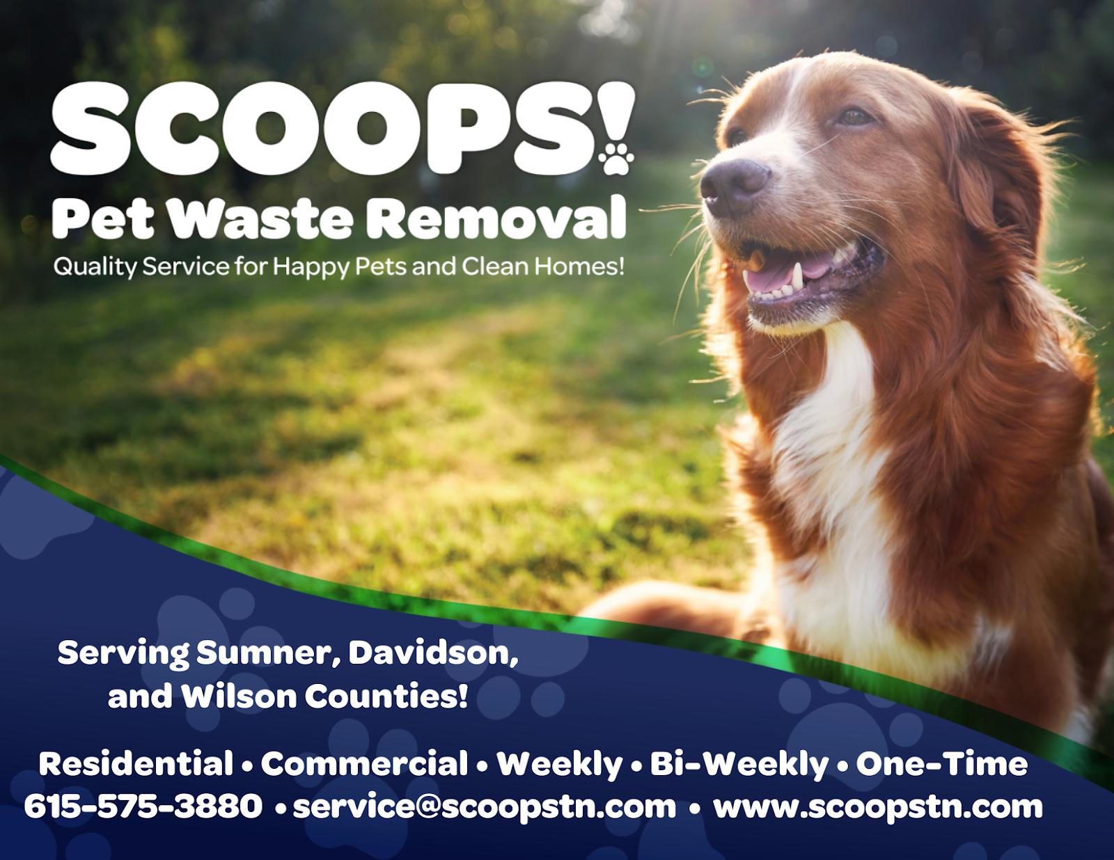 Scoops! Pet Waste Removal & Poop Scooping - Photo 2