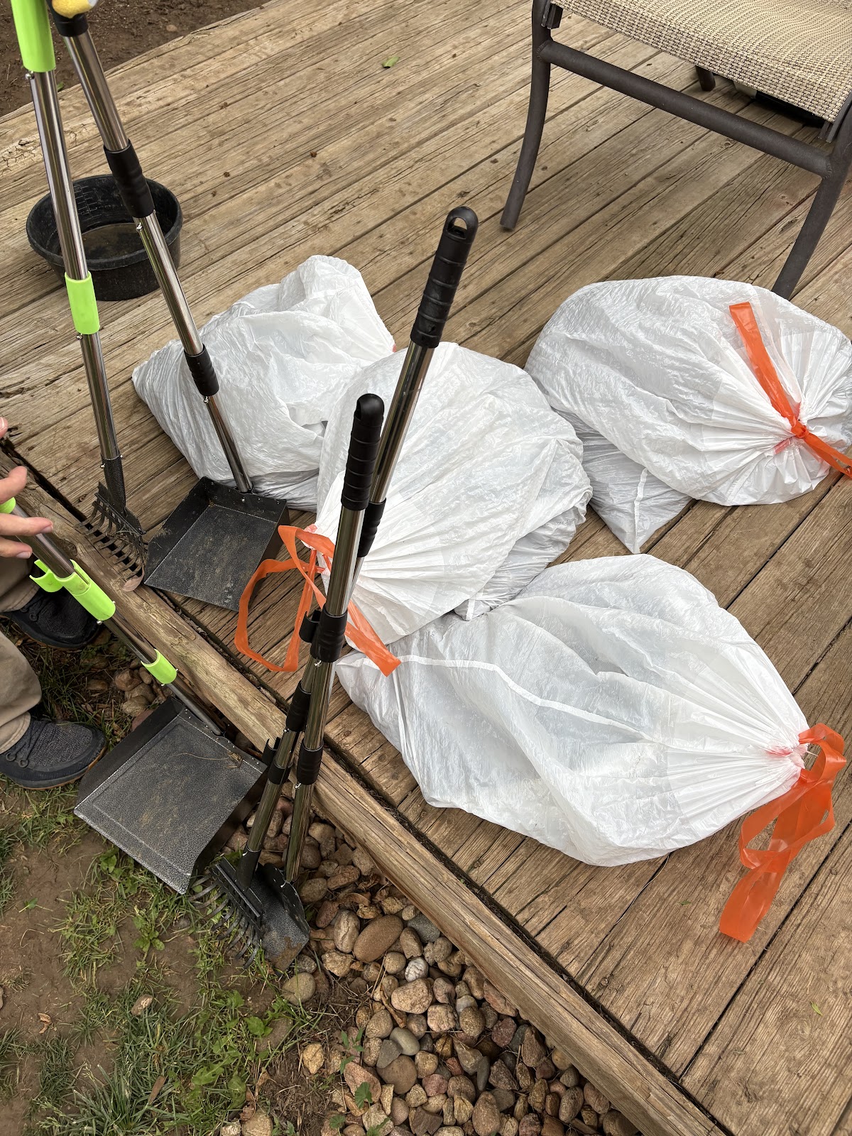 Call Of Dookie - Photo 2