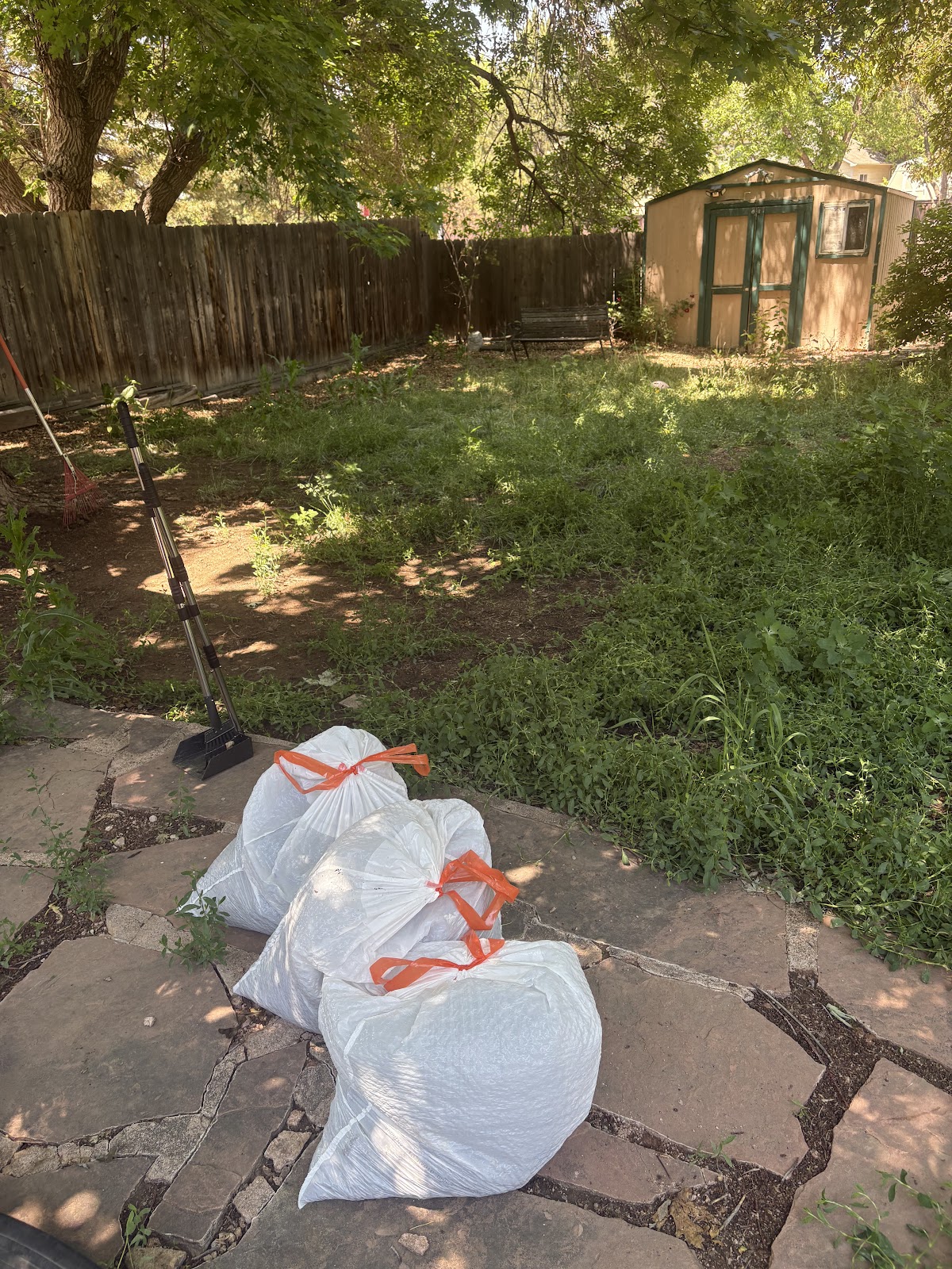 Call Of Dookie - Photo 3