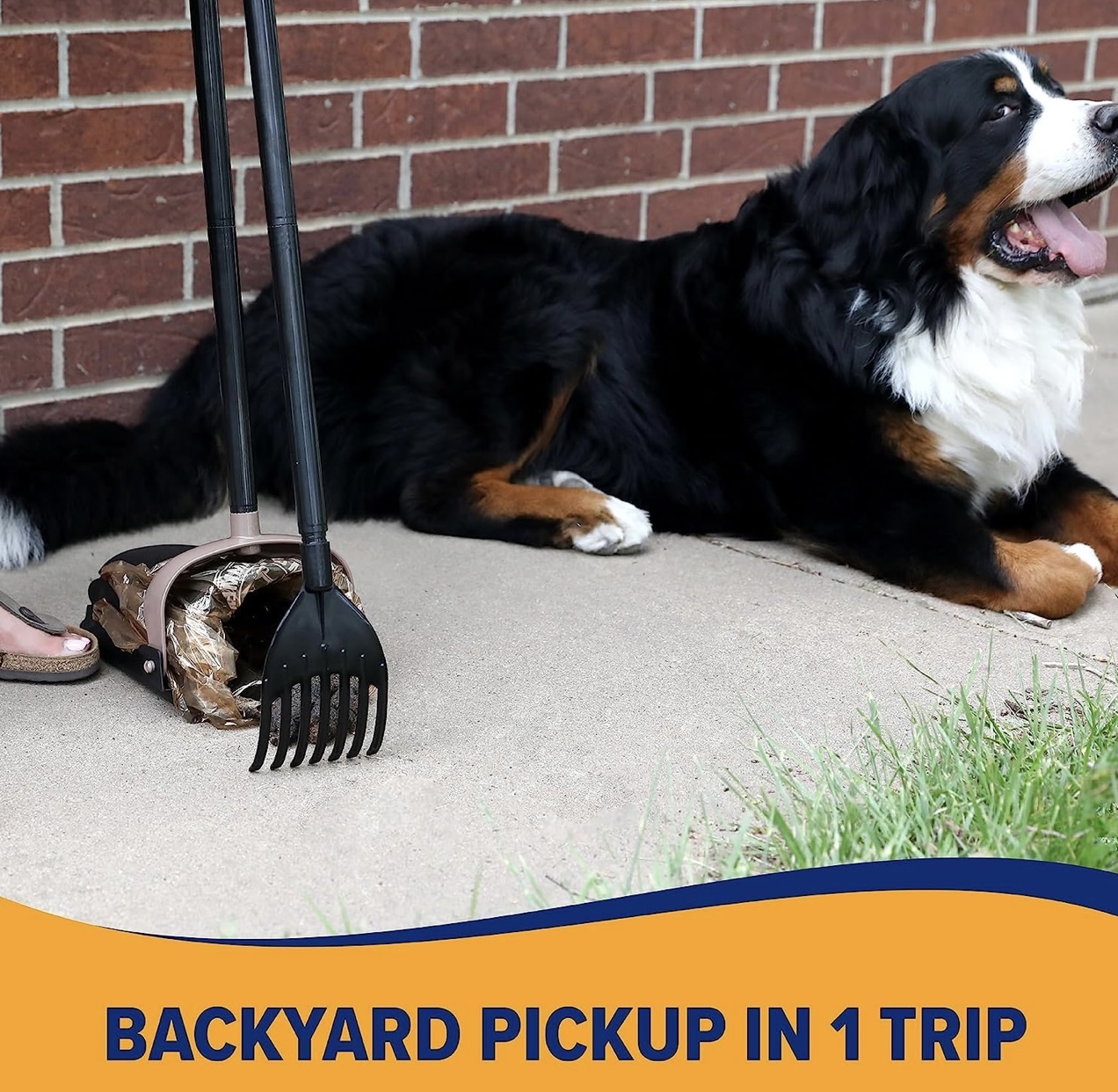 Triangle Pet Waste Removal - Photo 2