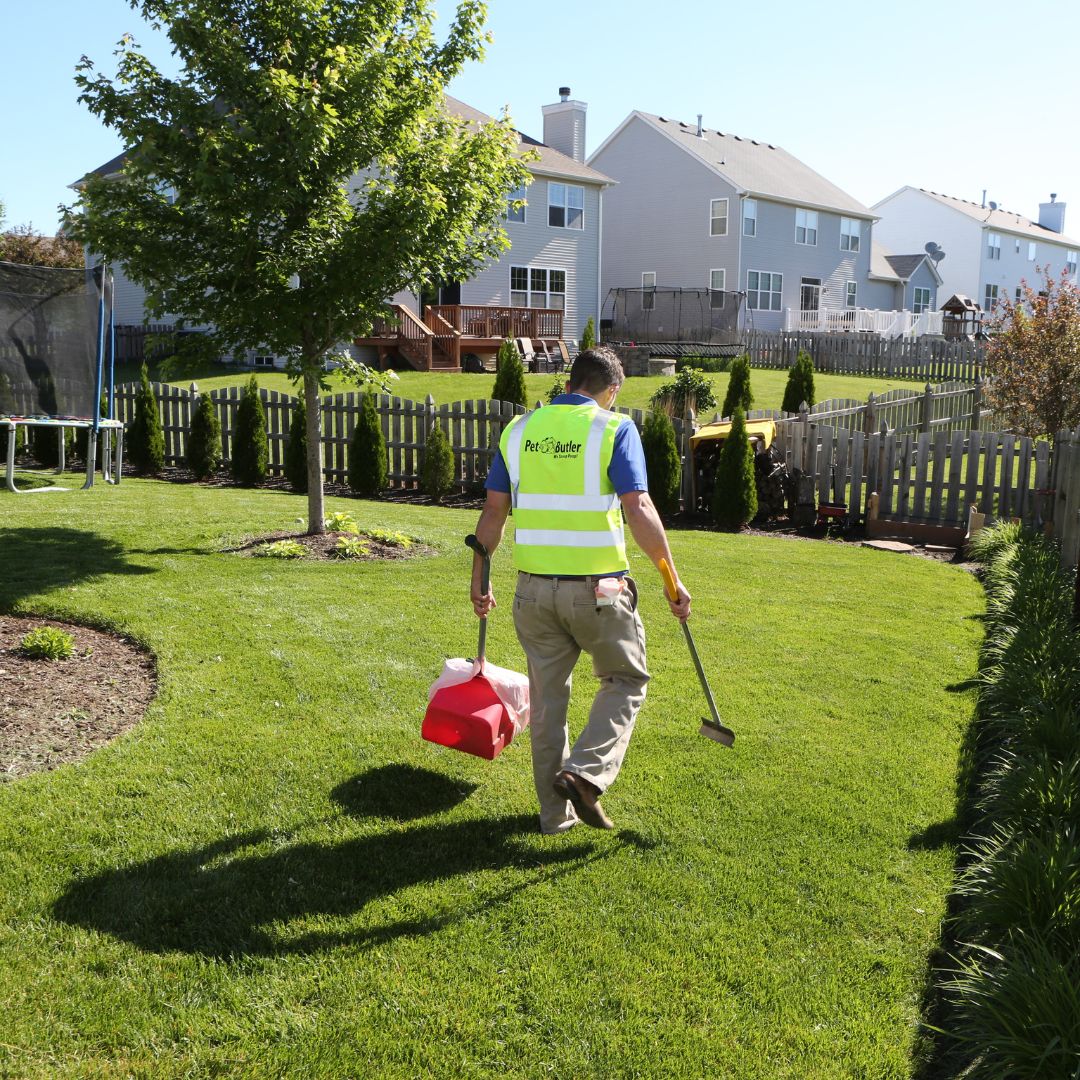 Pet Butler - Photo 2