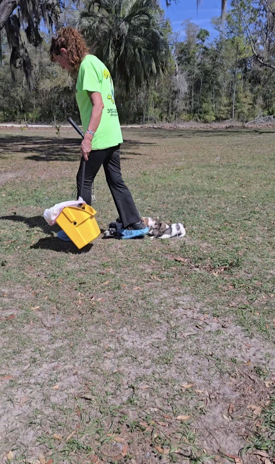 Daisy's Poo Crew - Photo 3