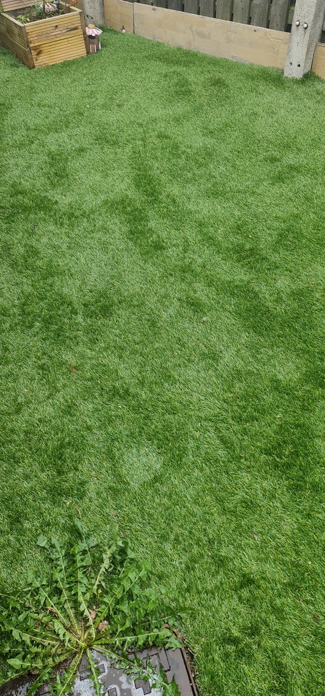 Pet Potty Patrol LLC