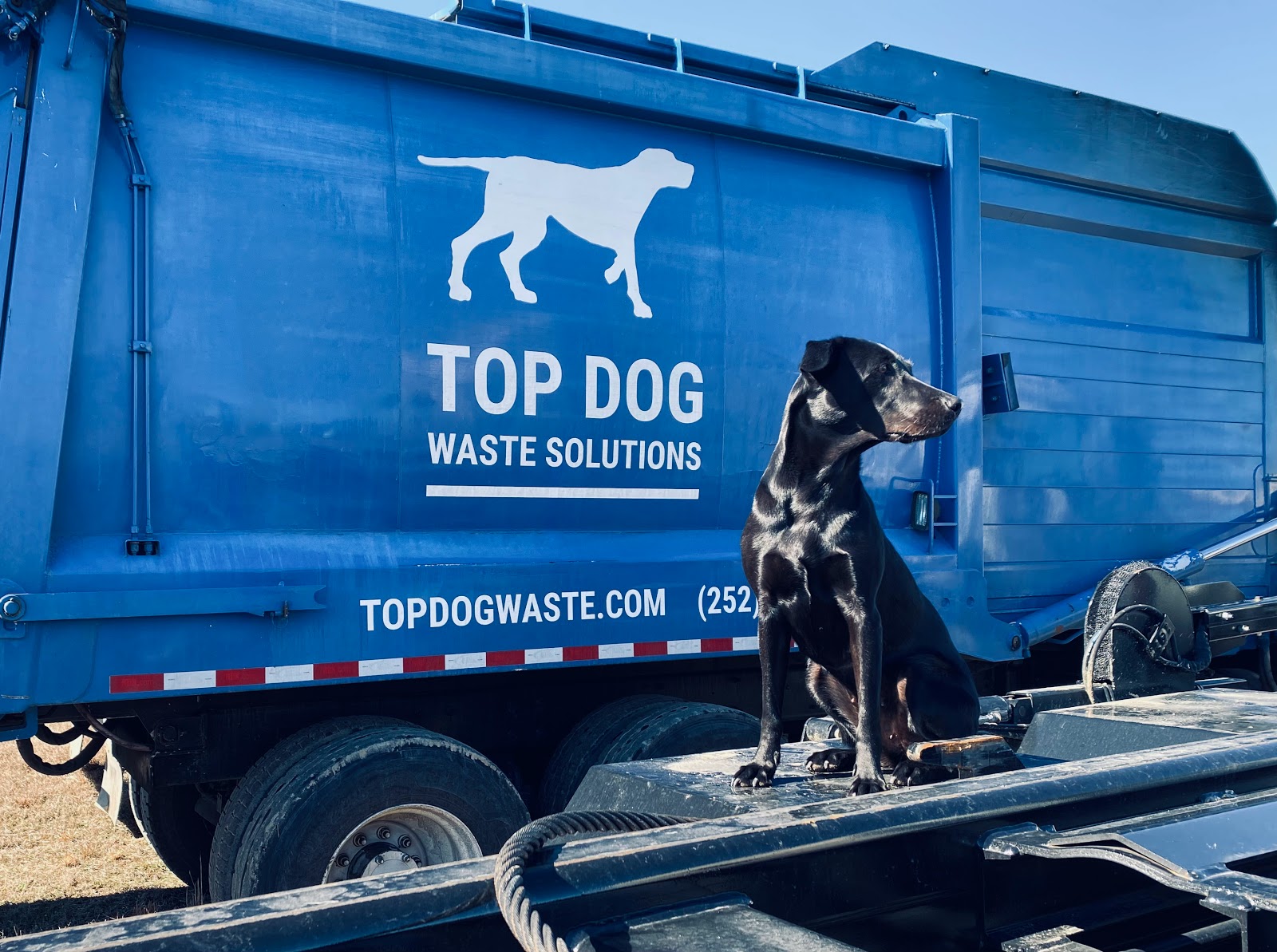 Top Dog Waste Solutions