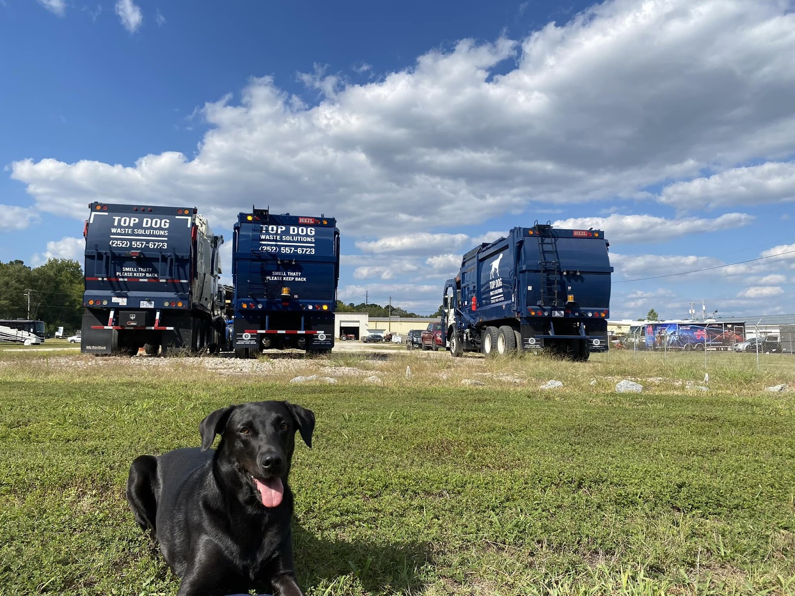 Top Dog Waste Solutions - Photo 2