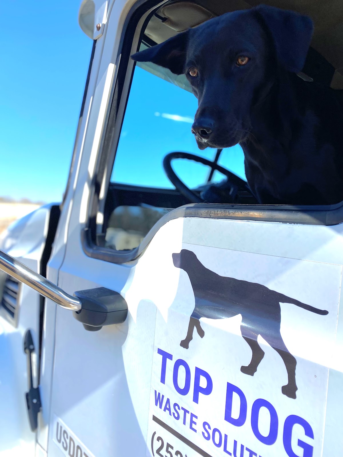 Top Dog Waste Solutions - Photo 4