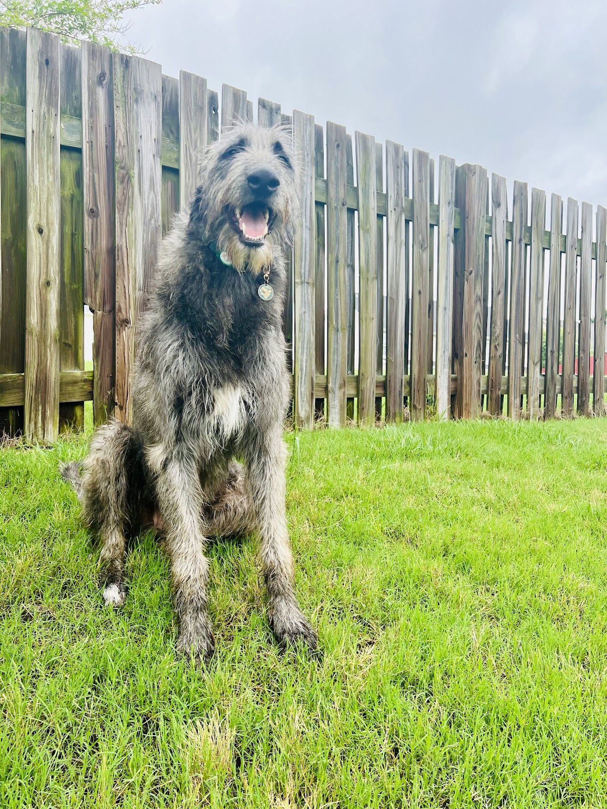 Upstate Scoopers, LLC - Photo 2