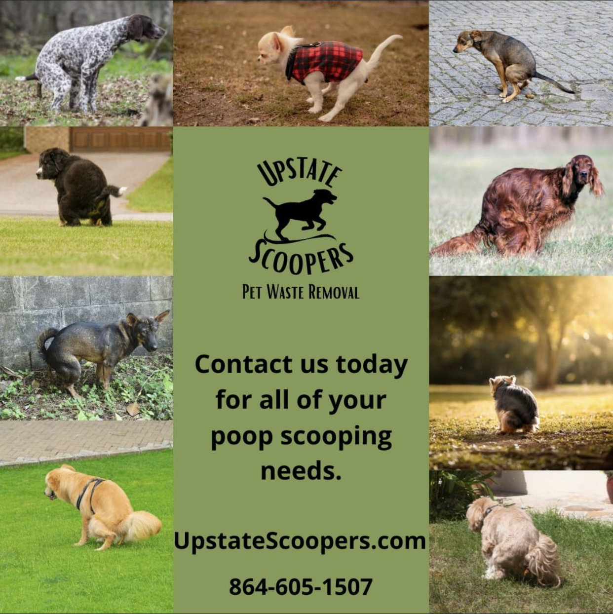 Upstate Scoopers, LLC - Photo 3