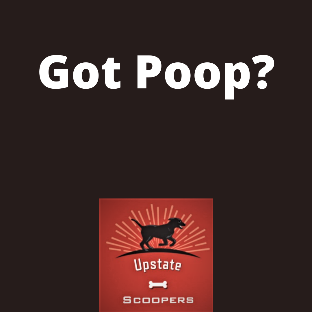 Upstate Scoopers, LLC - Photo 4