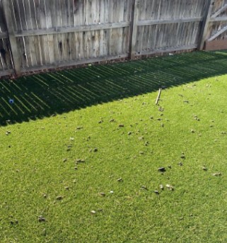 Sonoran Poo Patrol LLC