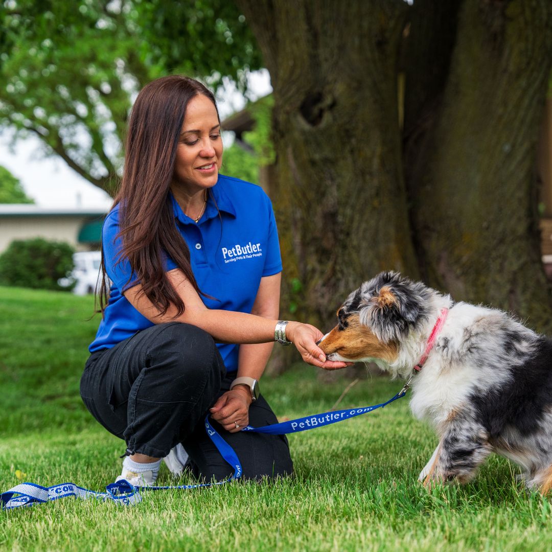 Pet Butler - Photo 3