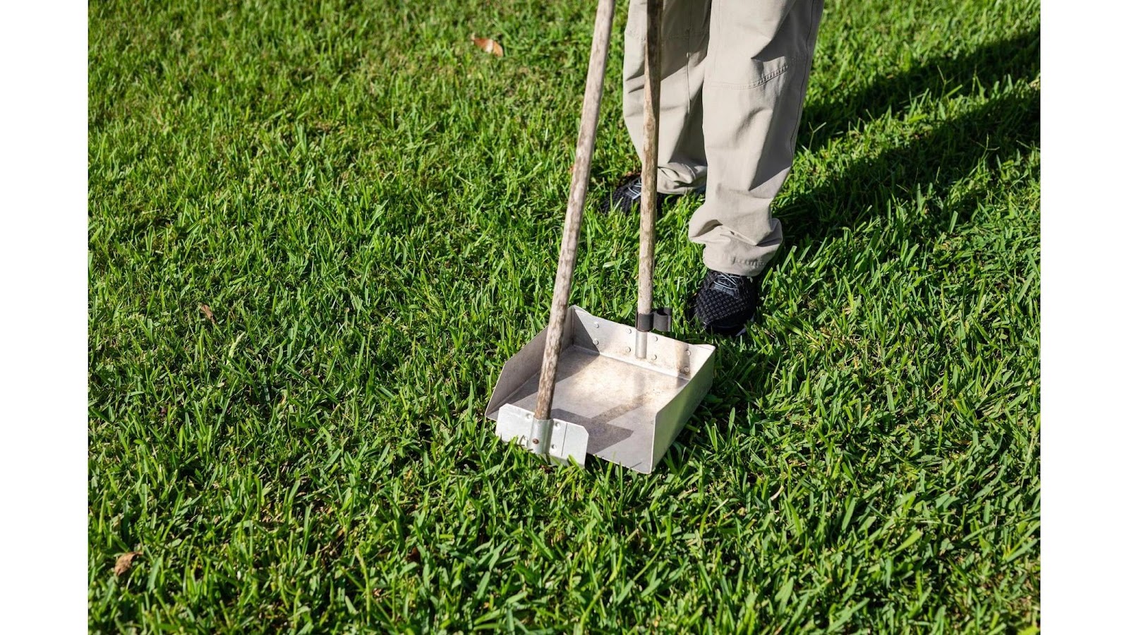 Scooper Trooperz, LLC