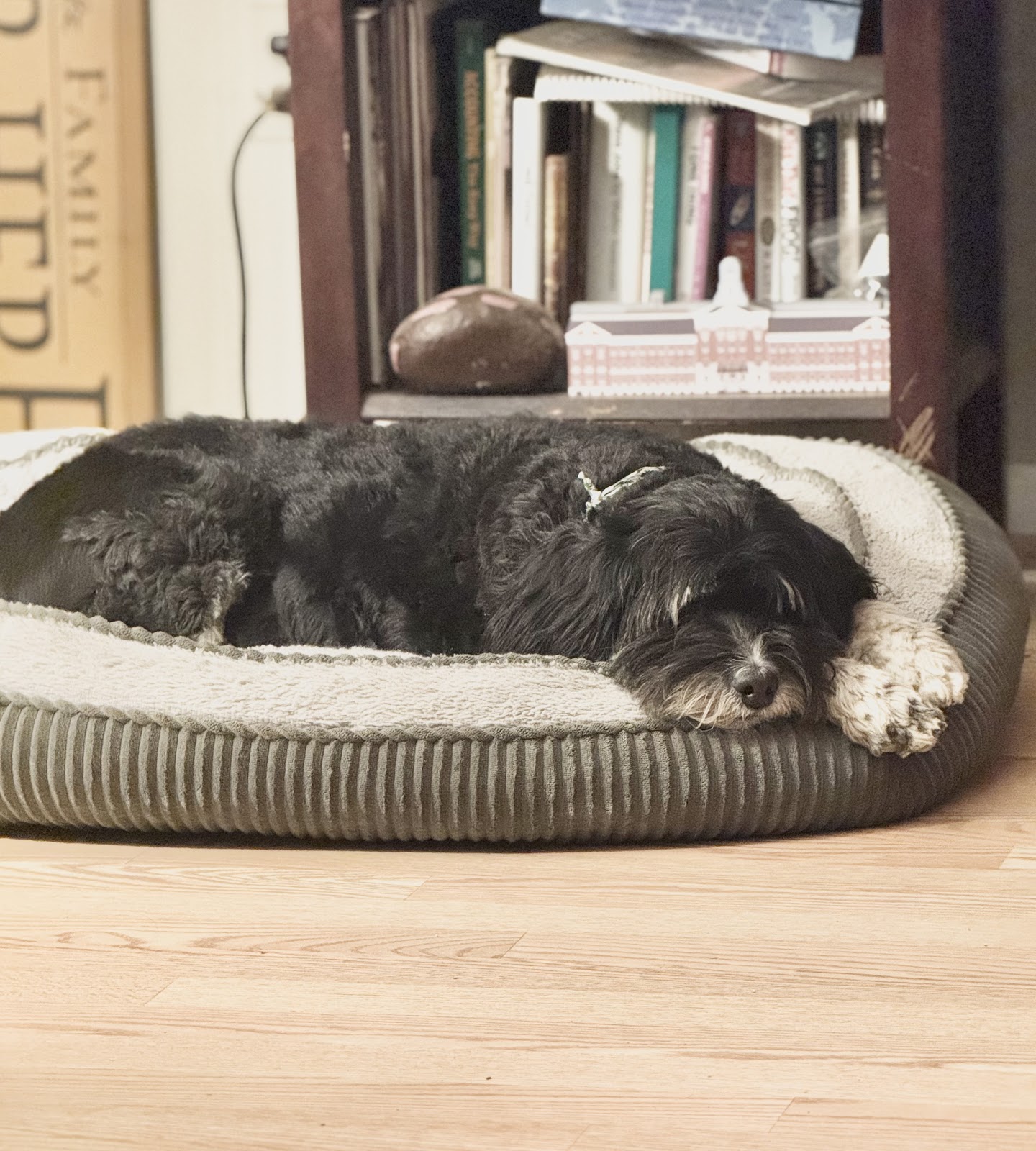 Poop Paws Patrol - Photo 2