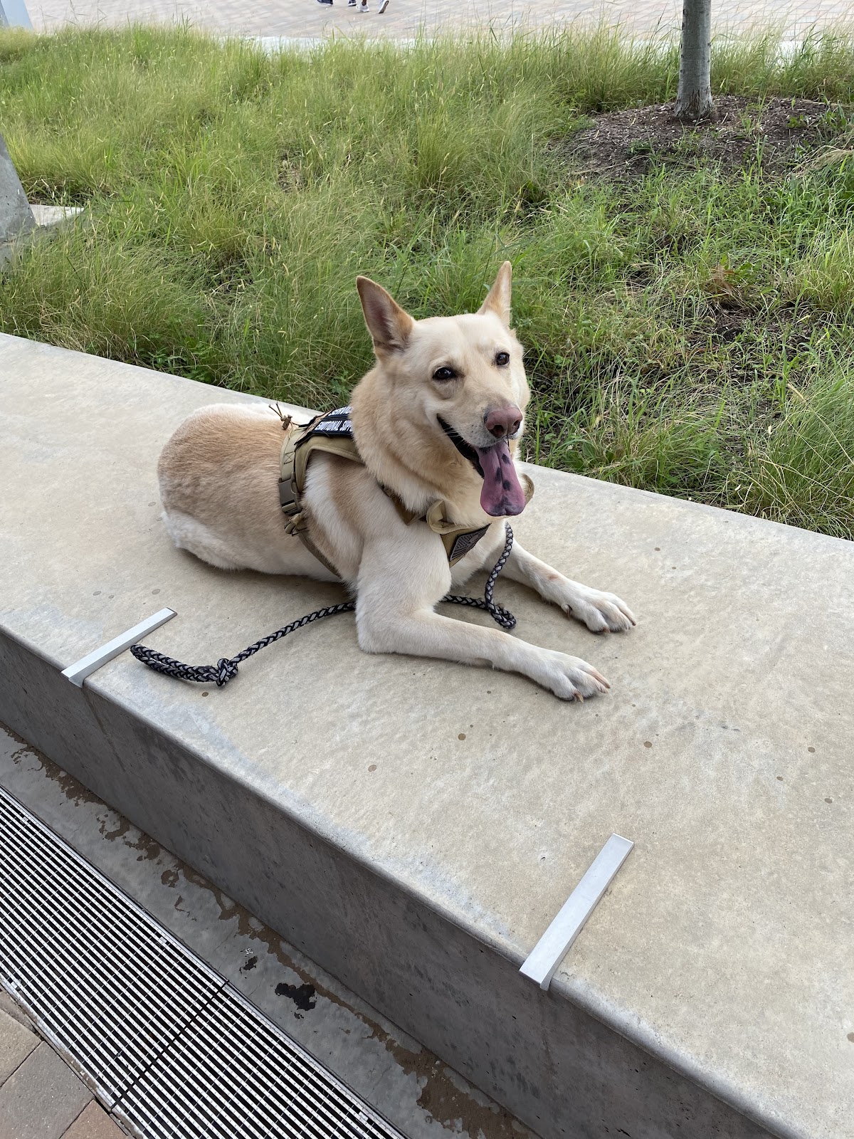 EcoBros pet waste management LLC