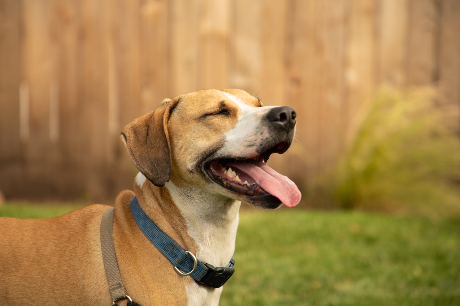 Scoop Squad - Photo 2