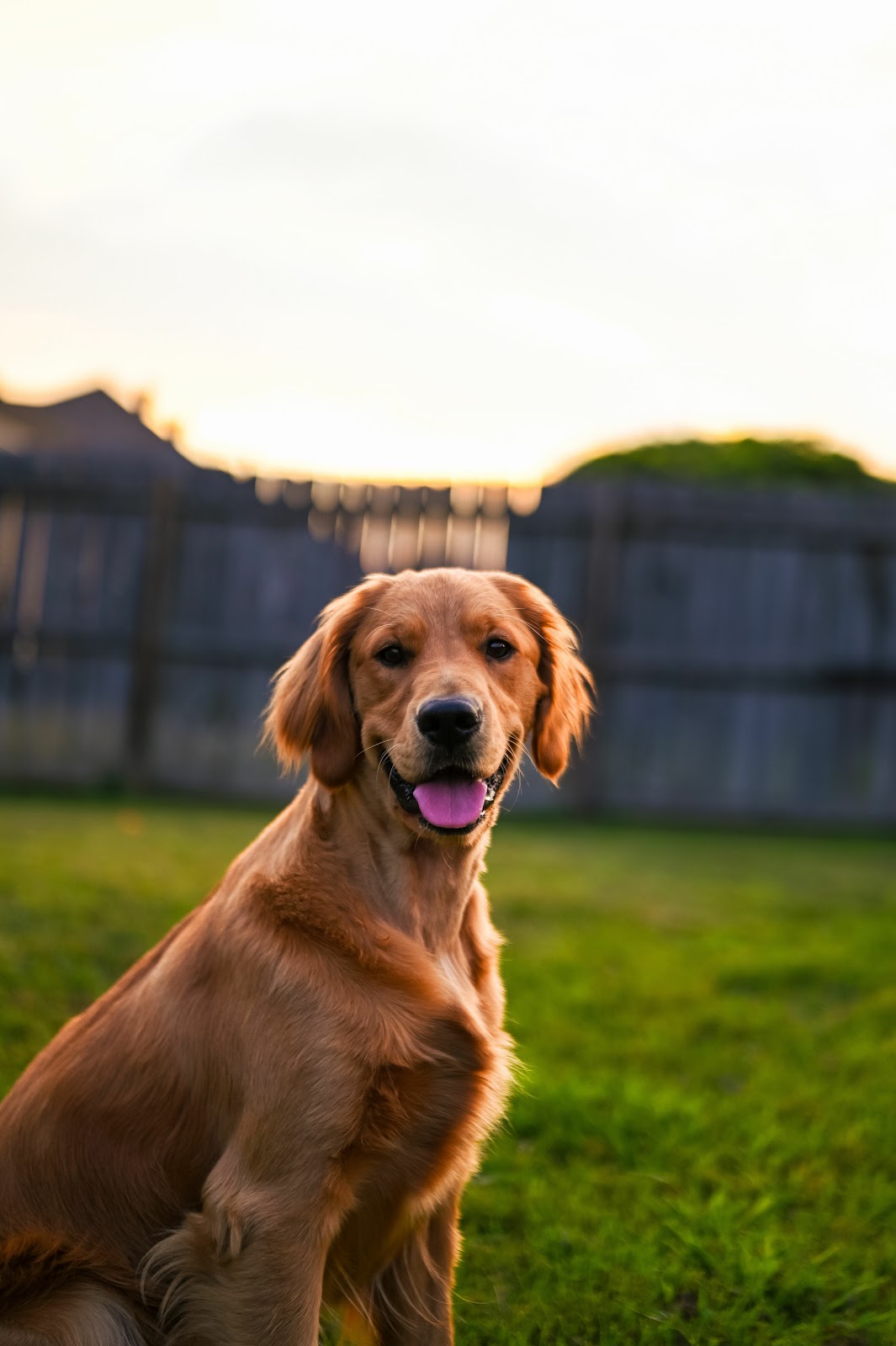 Scoop Squad - Photo 3