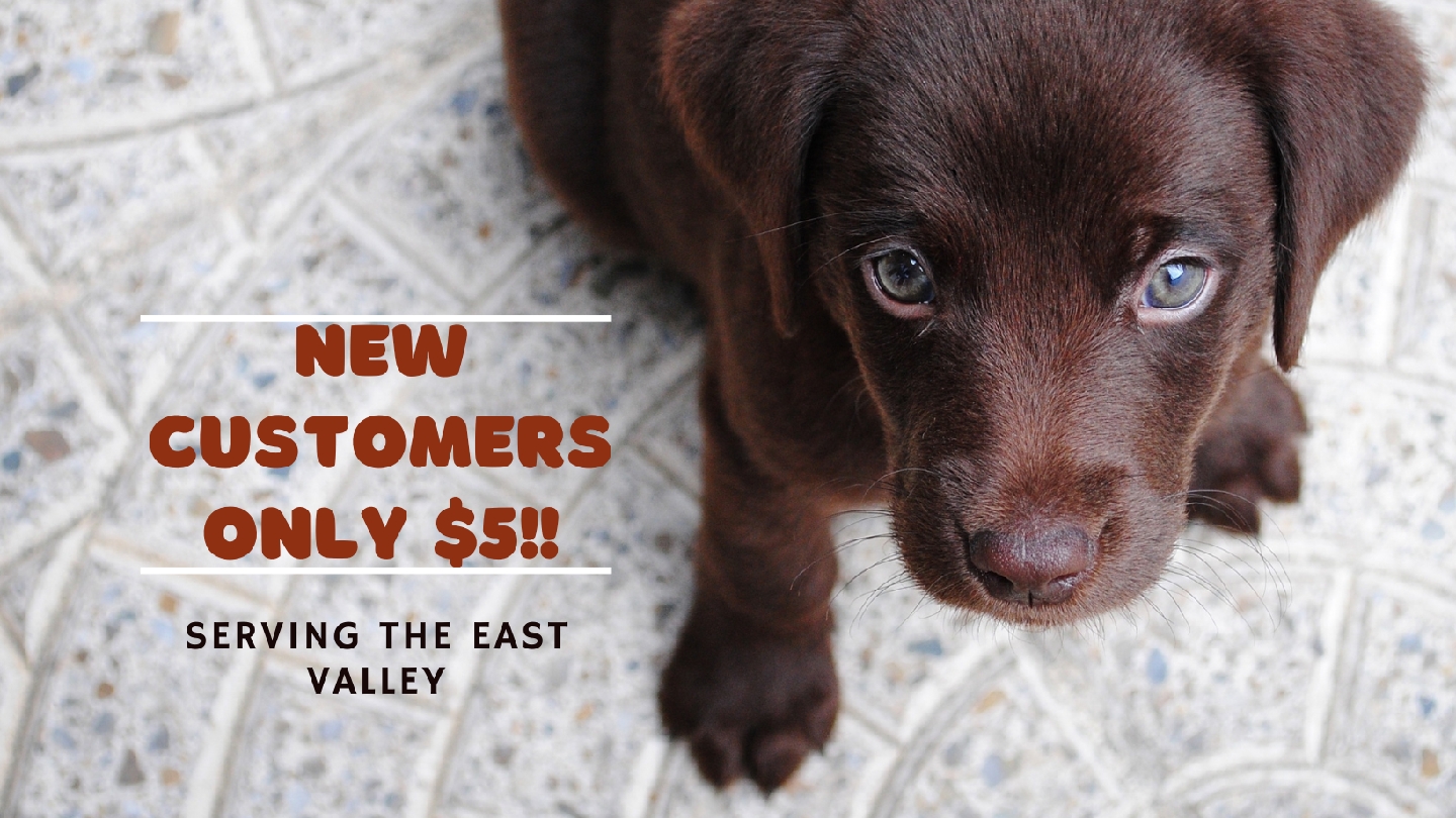 Bag 'N Wag Pet Waste Removal