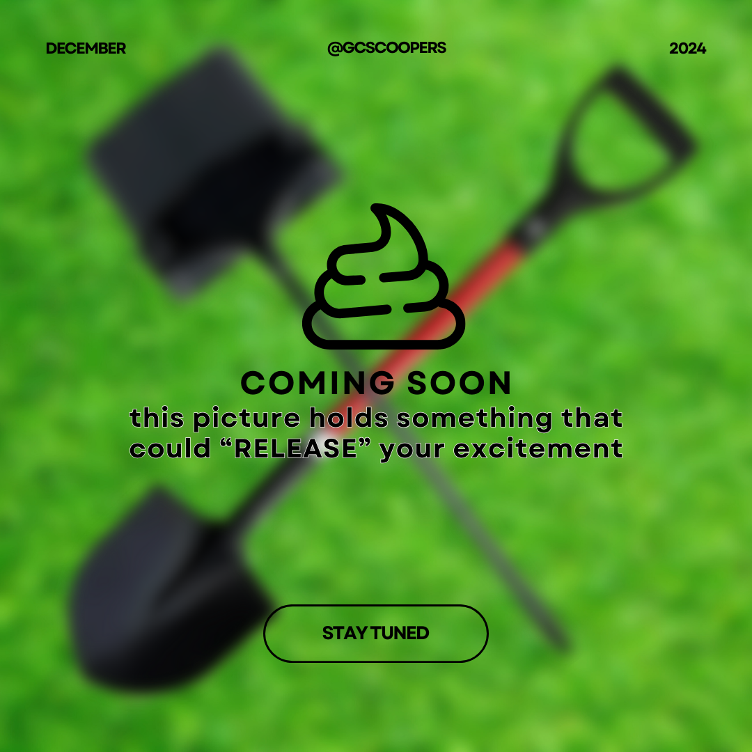 Gulf Coast Scoopers - Photo 2