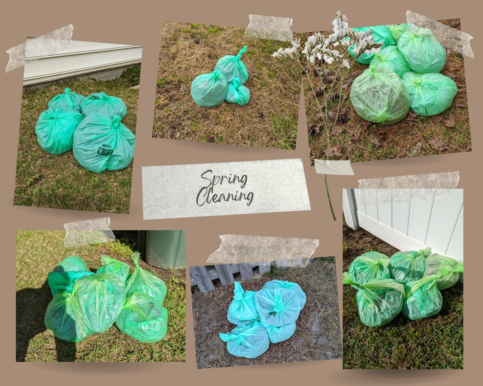 Savannah Poop Patrol, LLC