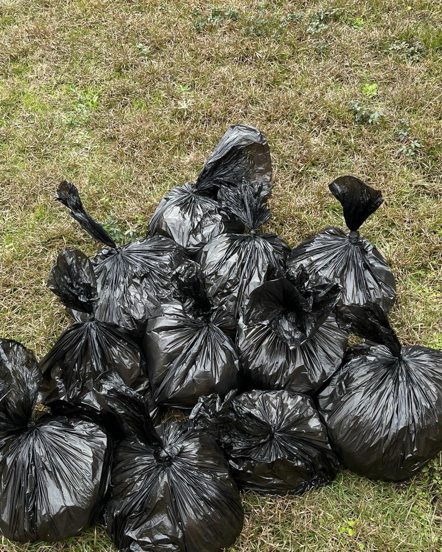 Savannah Poop Patrol, LLC - Photo 2