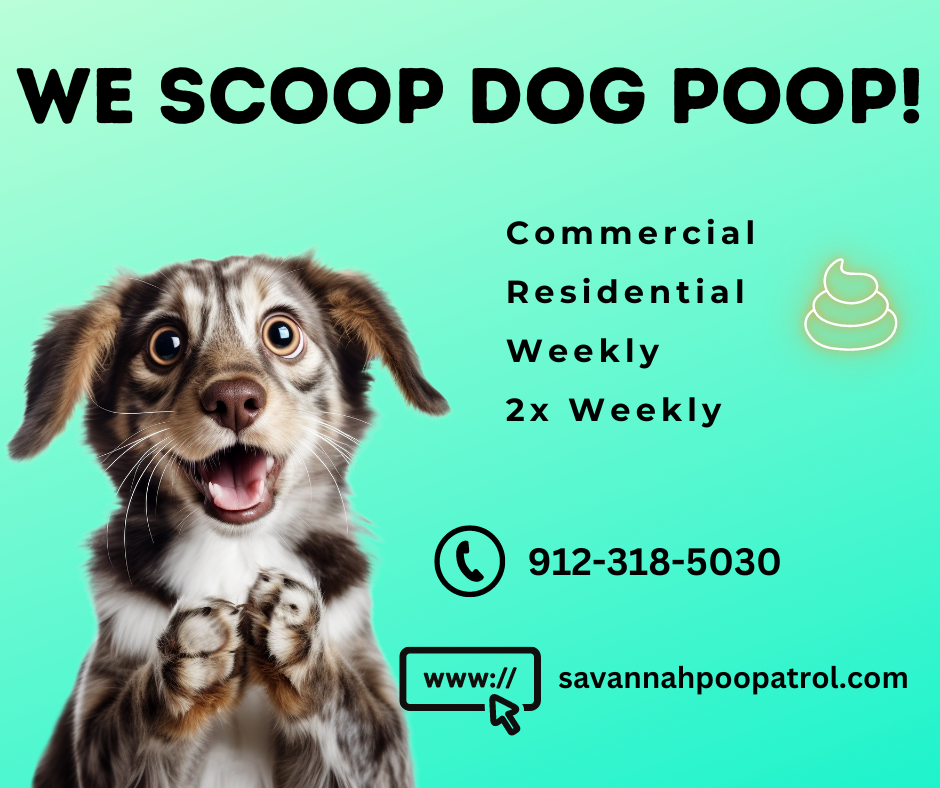 Savannah Poop Patrol, LLC - Photo 4