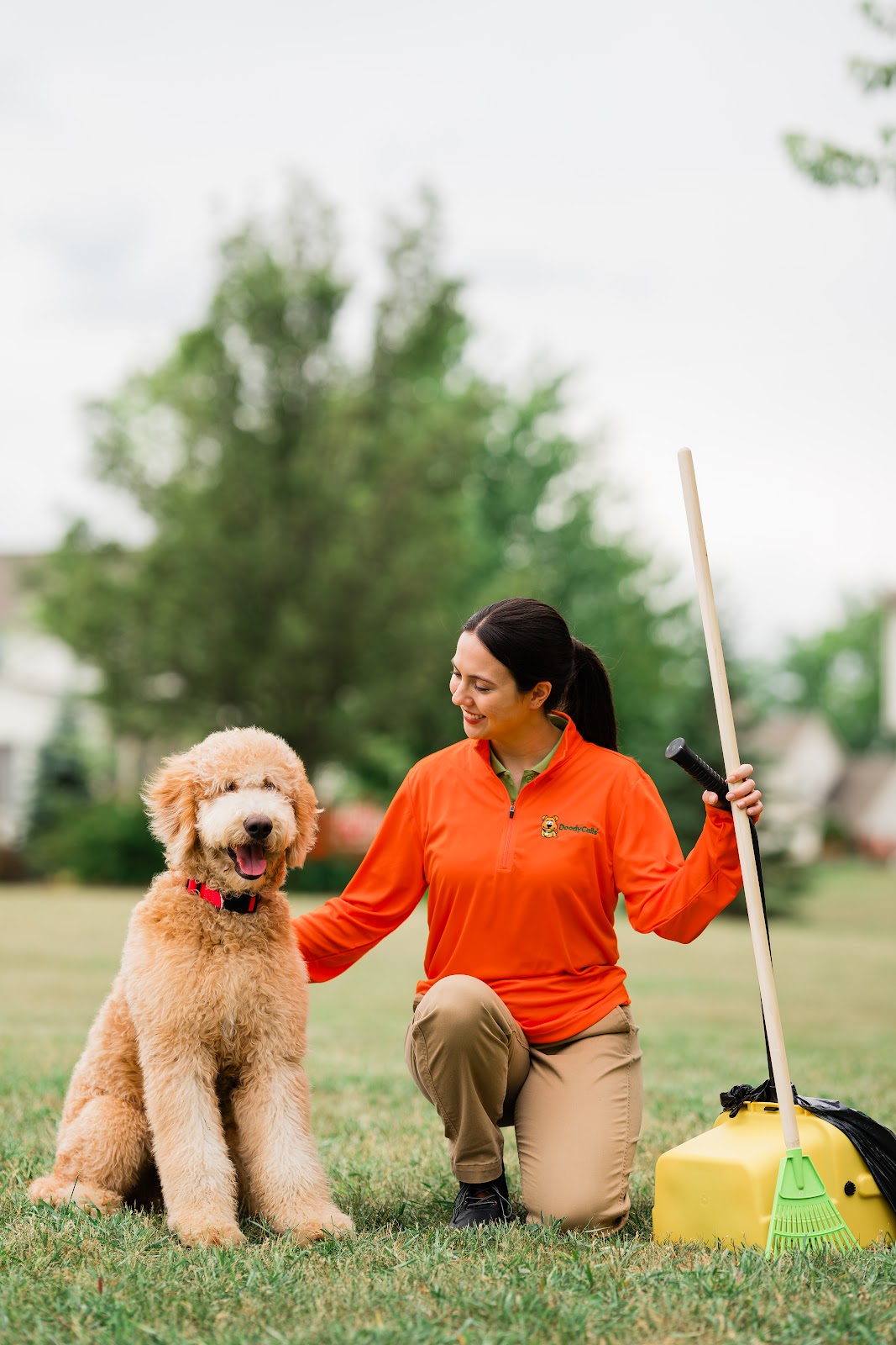 DoodyCalls on the Suncoast - Photo 4