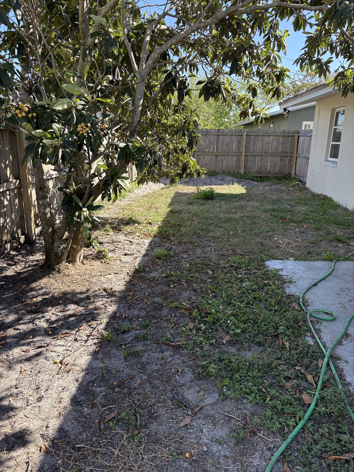 Scoop & Go - Photo 2