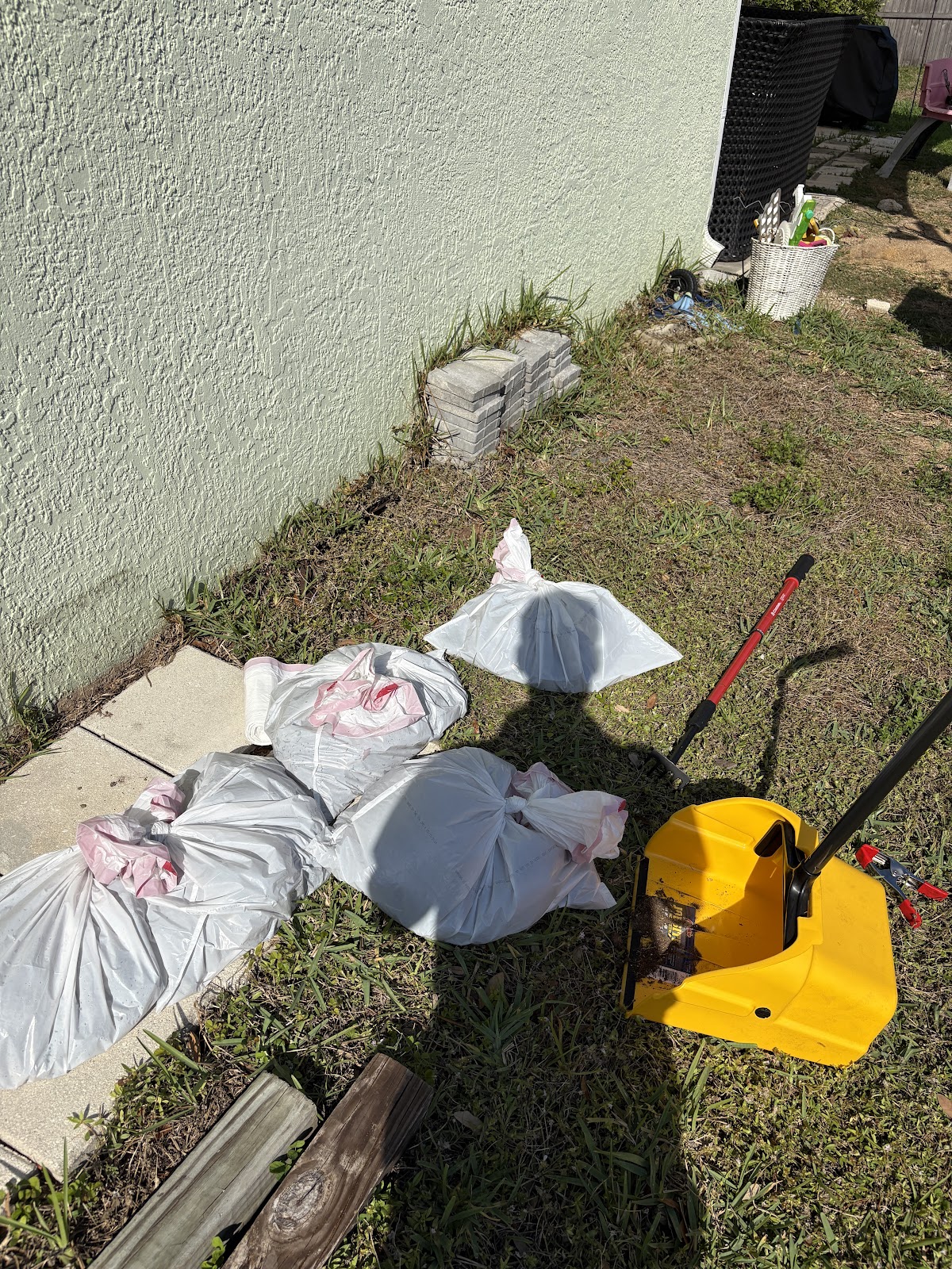 Scoop & Go - Photo 3