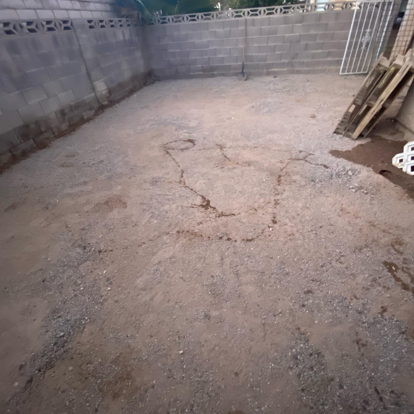 Dog waste removal service - Photo 3