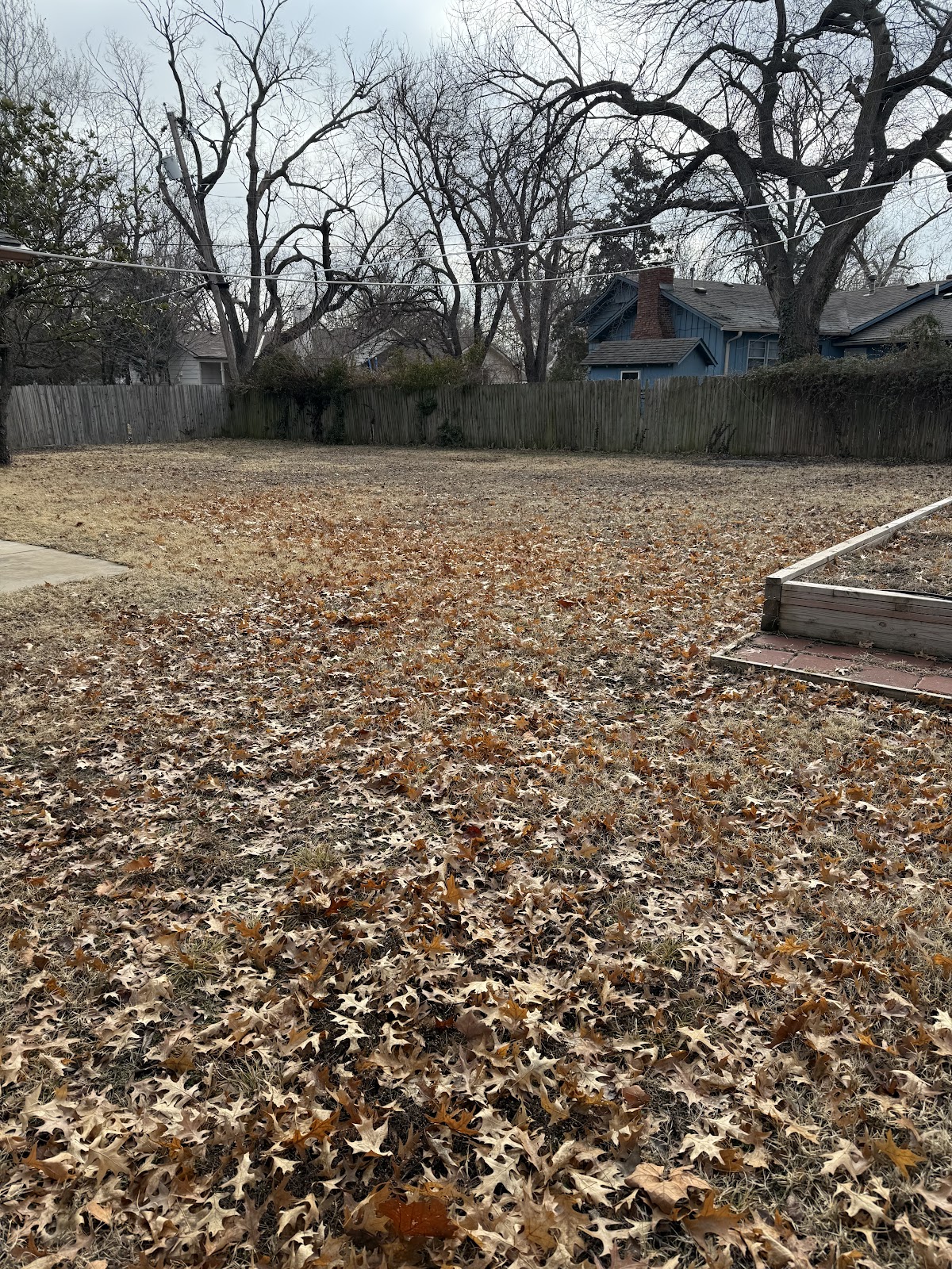 The Pet Waste Company