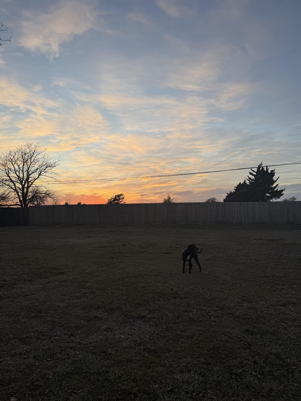 The Pet Waste Company - Photo 2