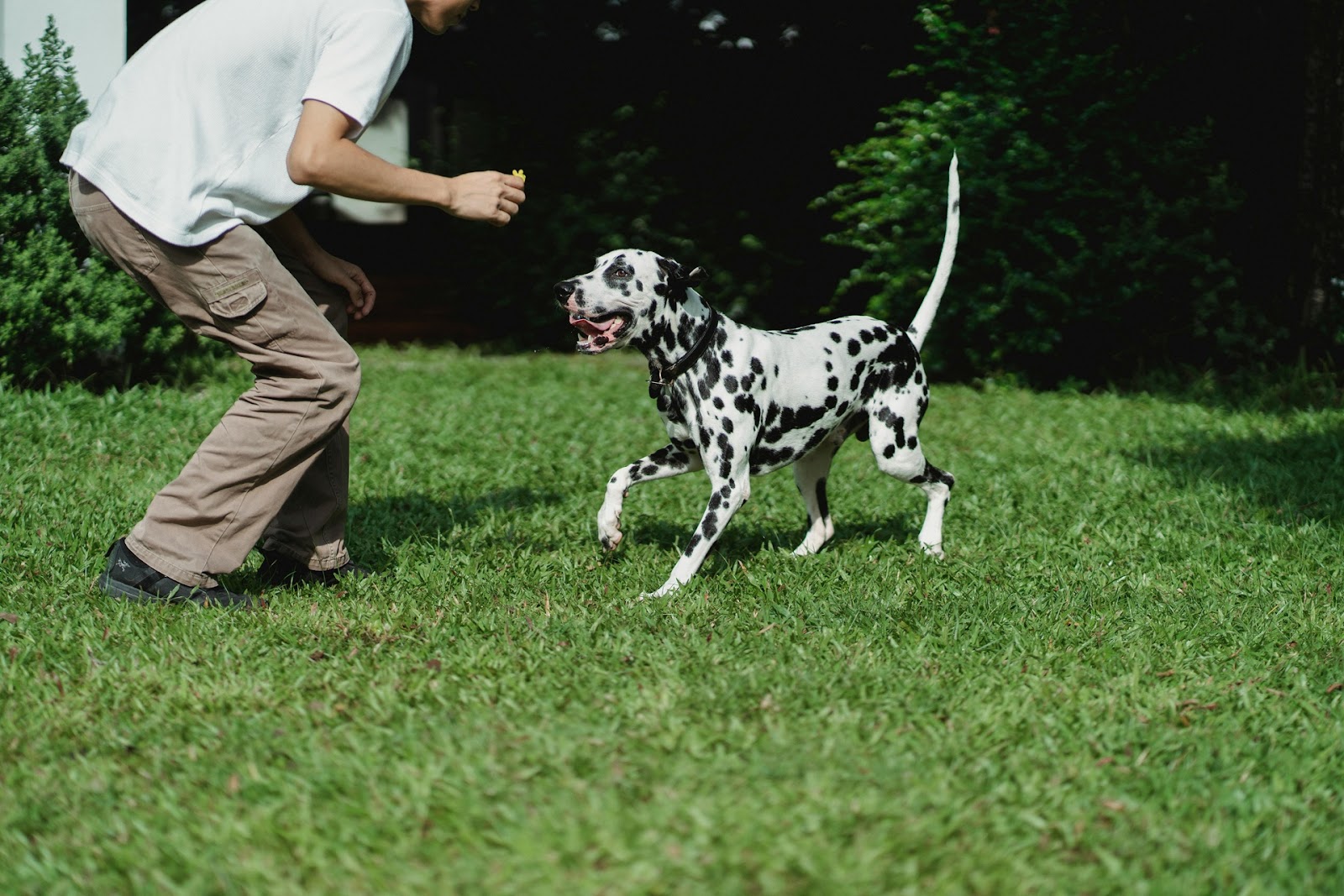 The Pet Waste Company - Photo 4