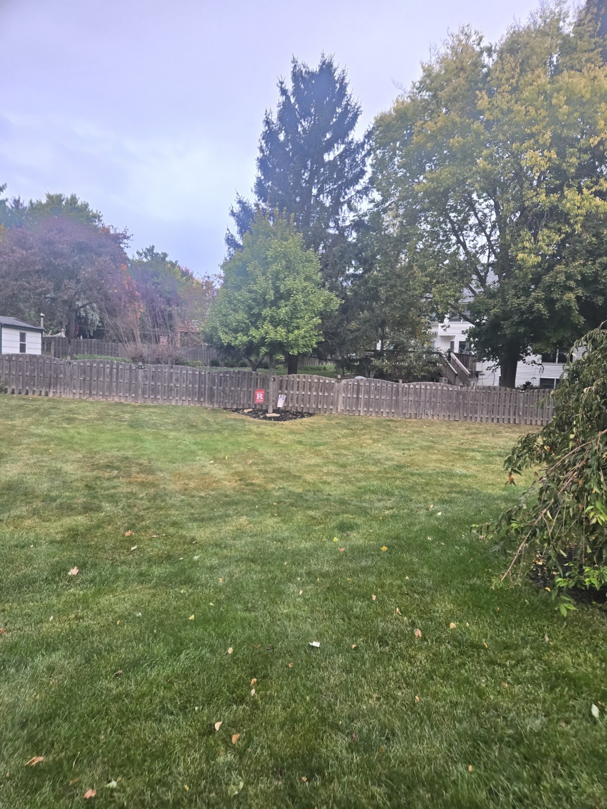 Turdminators Pet Waste Removal