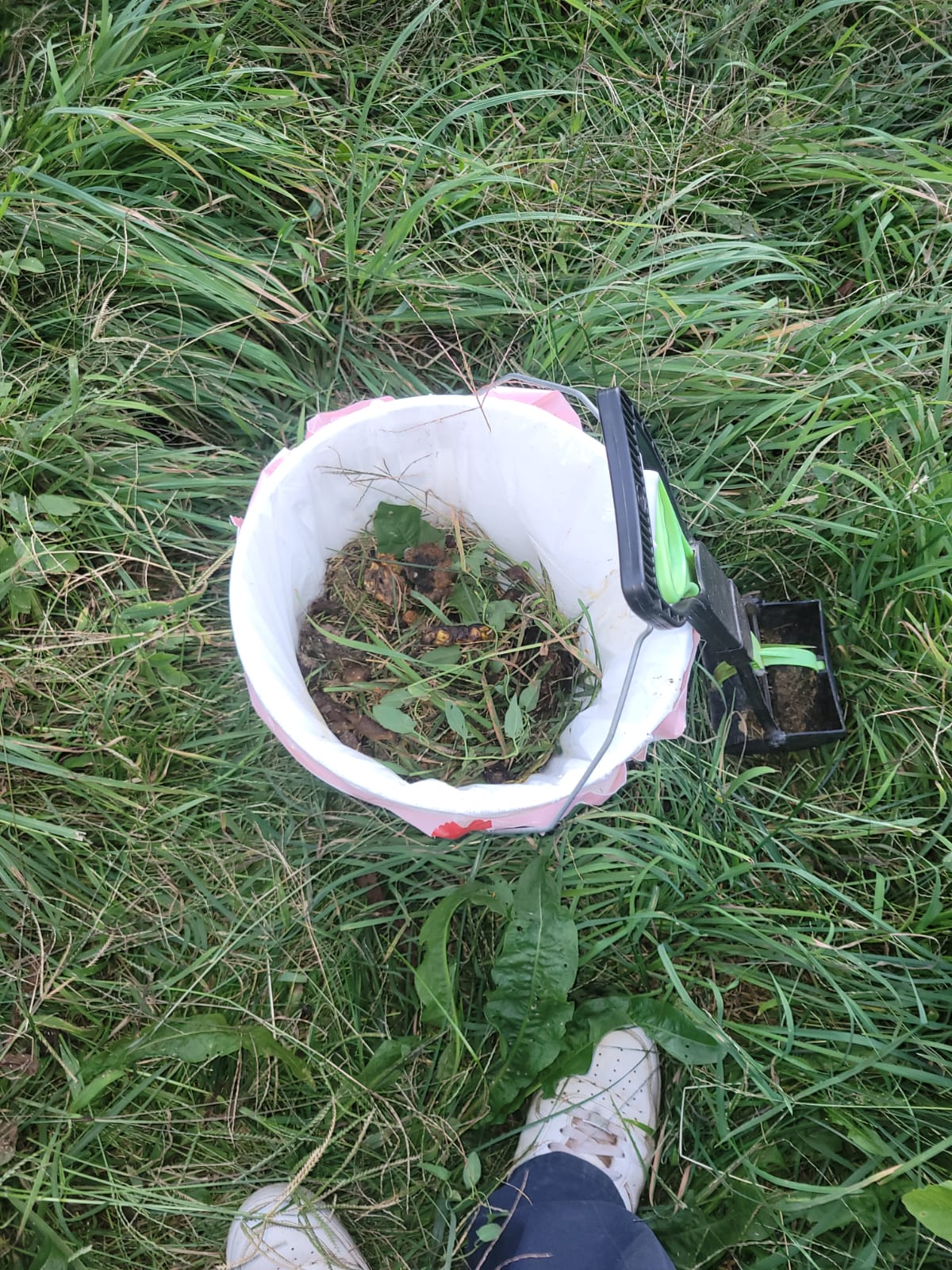 Turdminators Pet Waste Removal - Photo 2