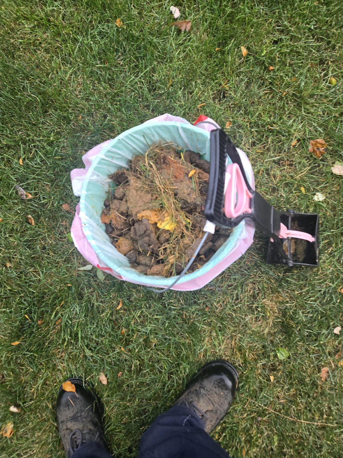 Turdminators Pet Waste Removal - Photo 4