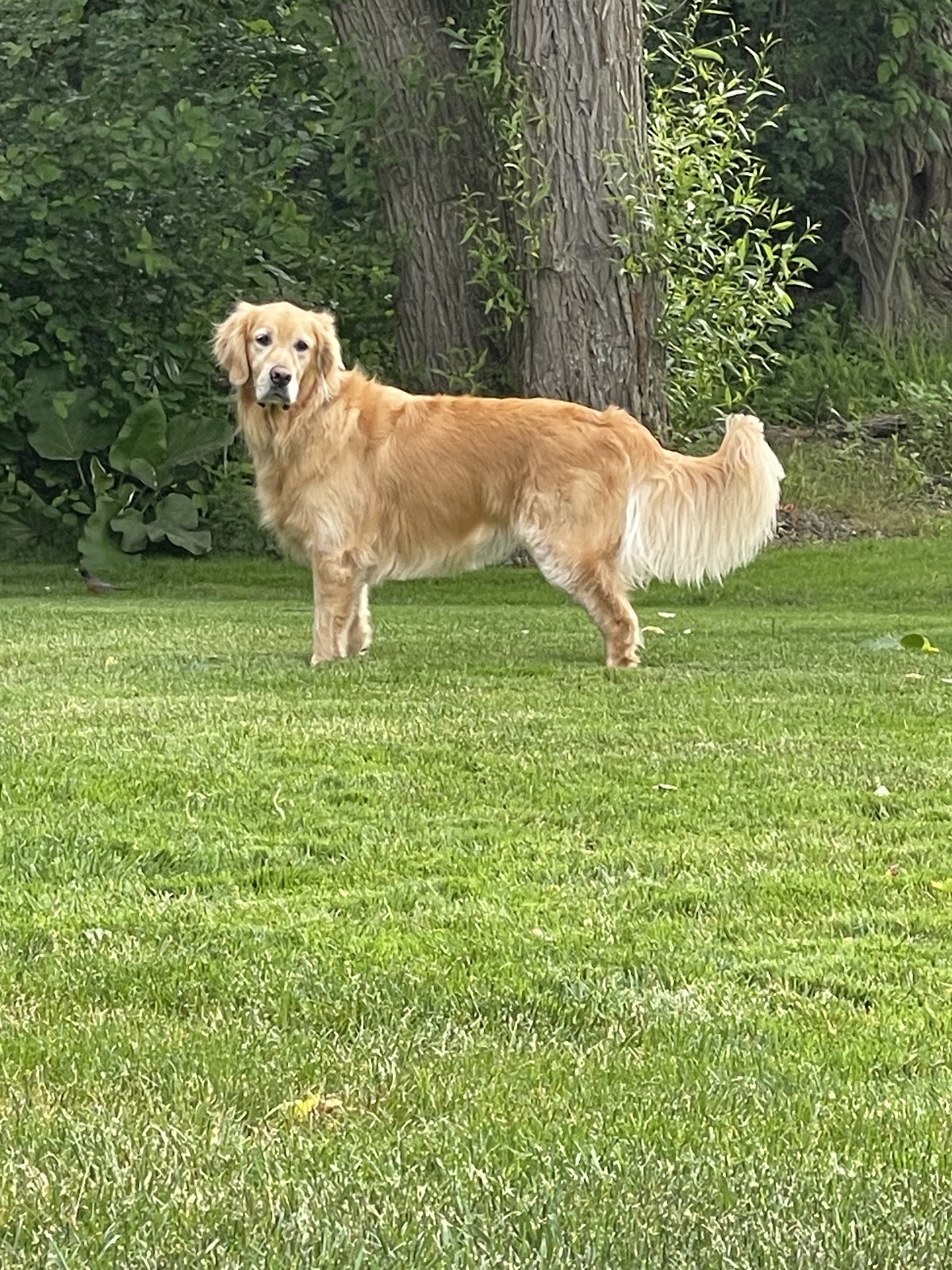 POOP 911 Cleveland - Photo 3