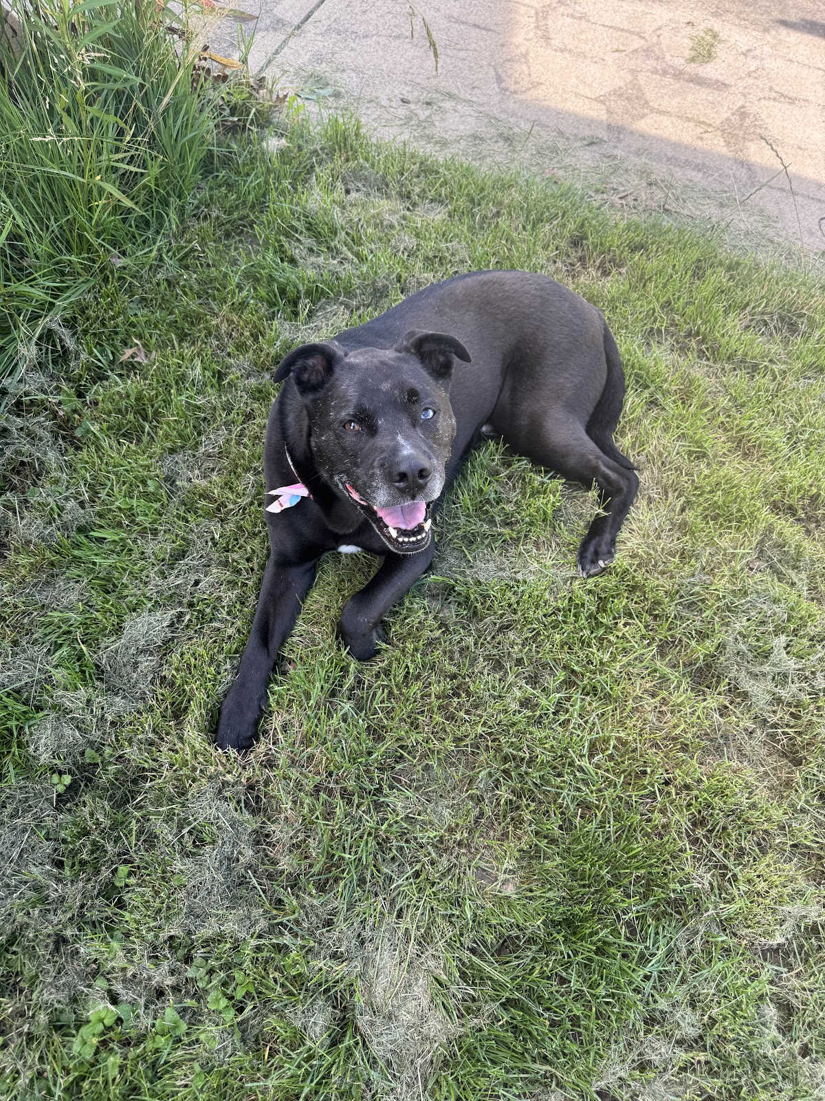 POOP 911 Cleveland - Photo 4