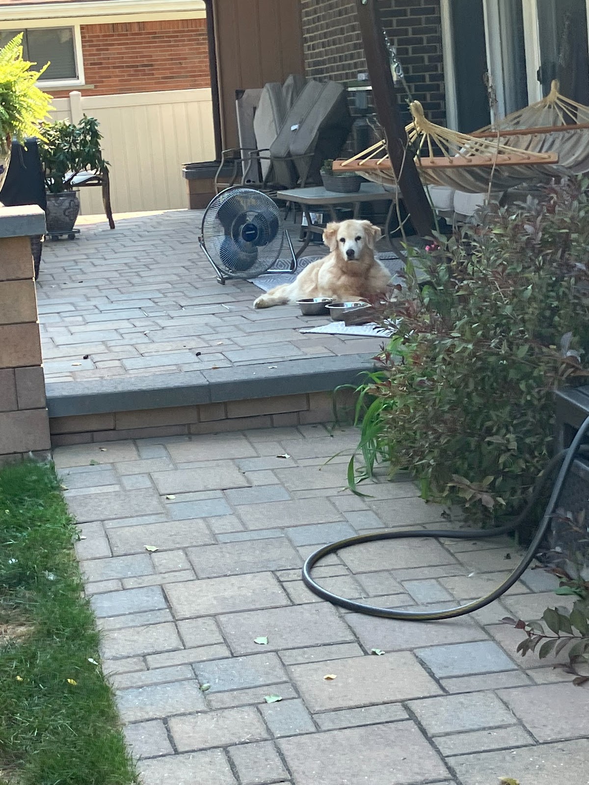 Pet Waste Management LLC