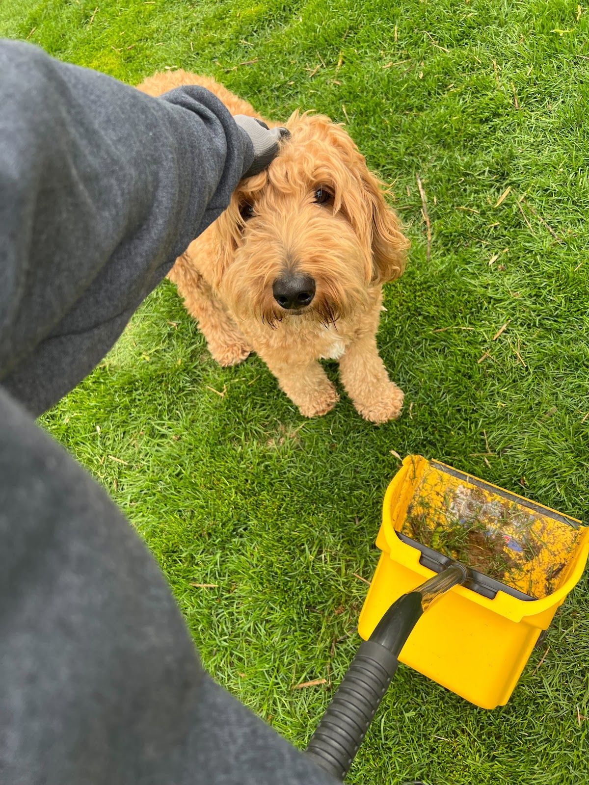 Pet Waste Management LLC - Photo 2