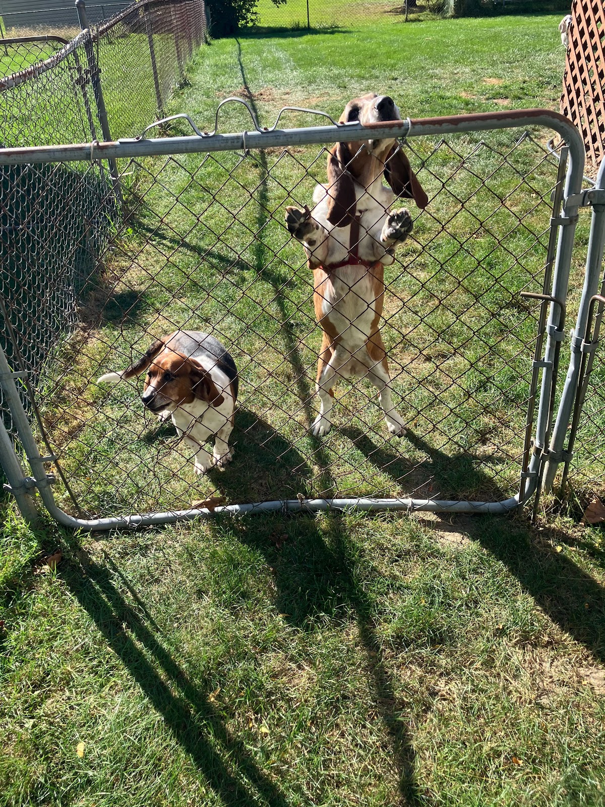 Pet Waste Management LLC - Photo 3