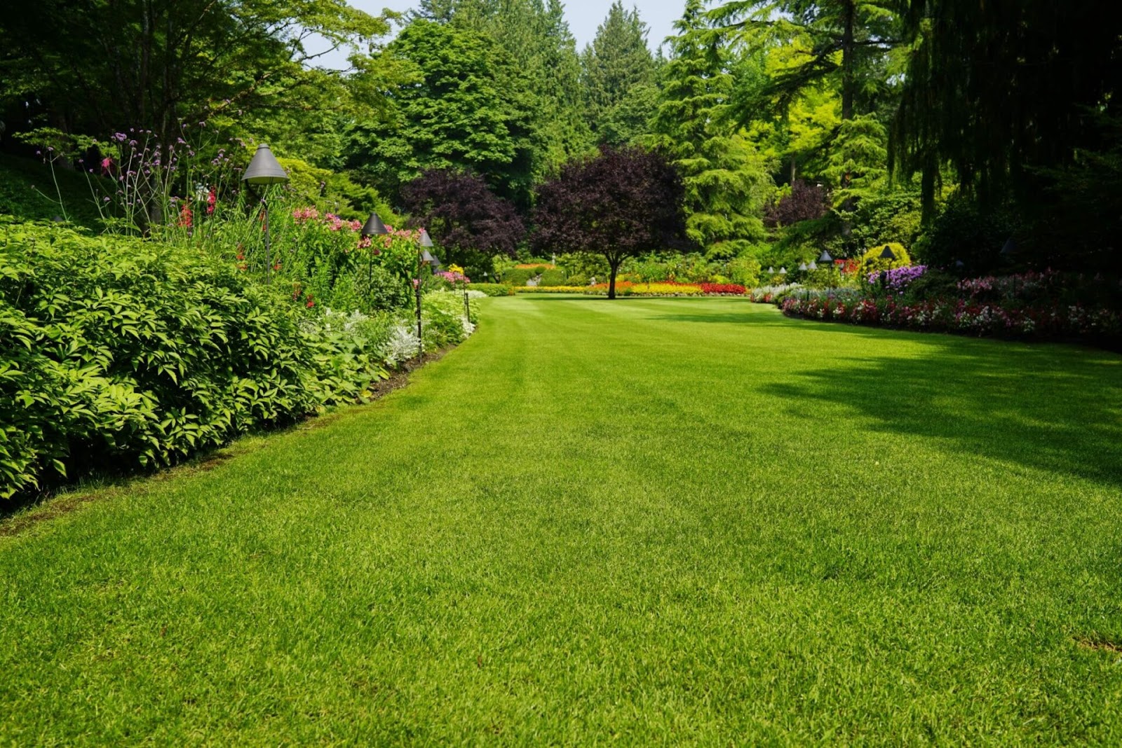 Poo Doody LLC - Photo 2