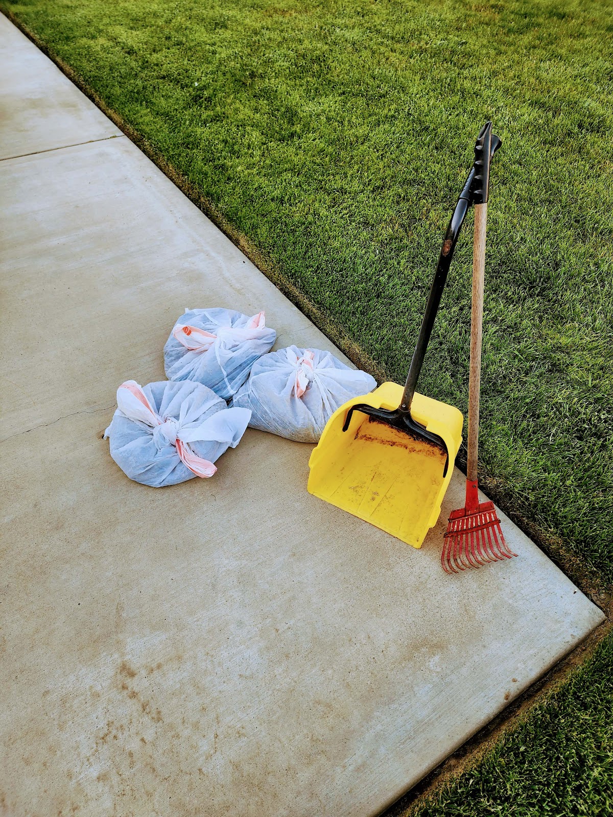 Scoopity Poops - Photo 3