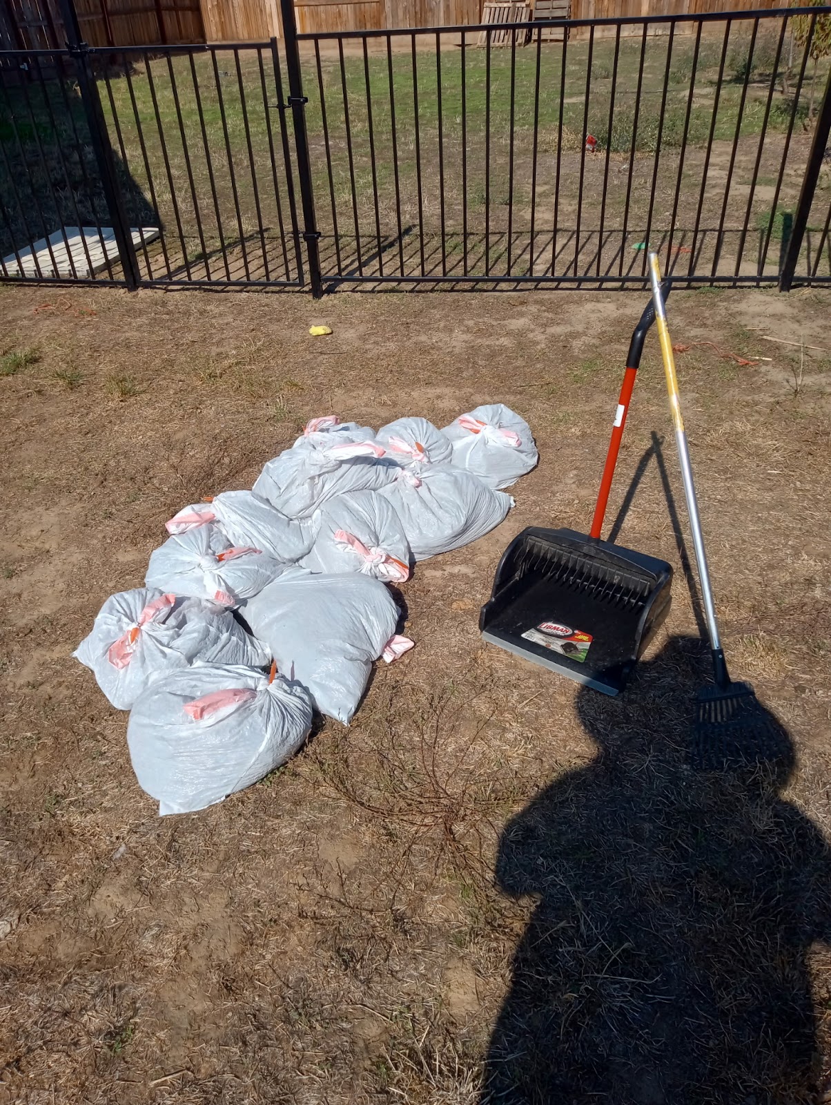 Scoopity Poops - Photo 4