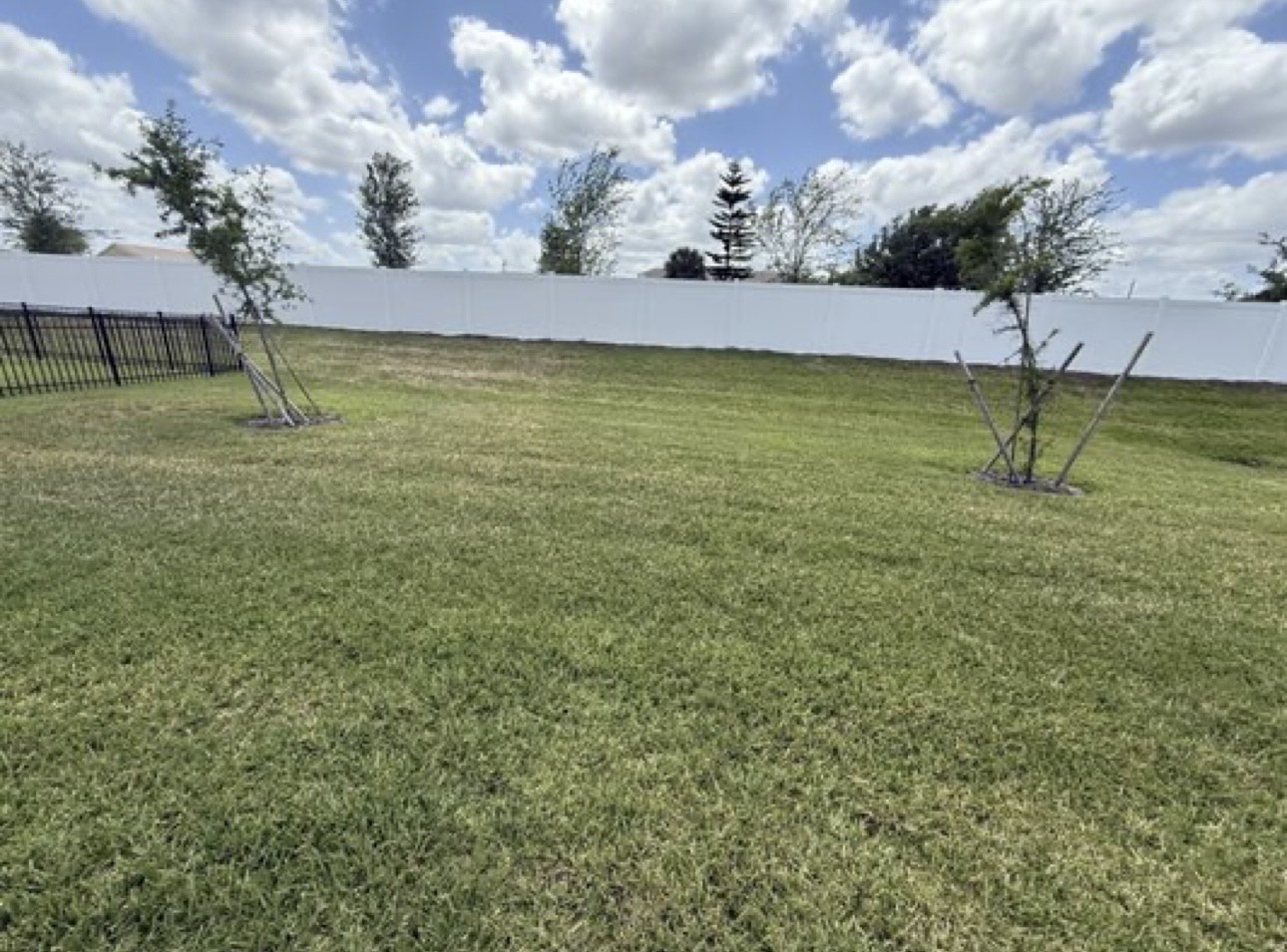 Scooper Troopers – Pet Waste Removal Service in Lee County - Photo 2