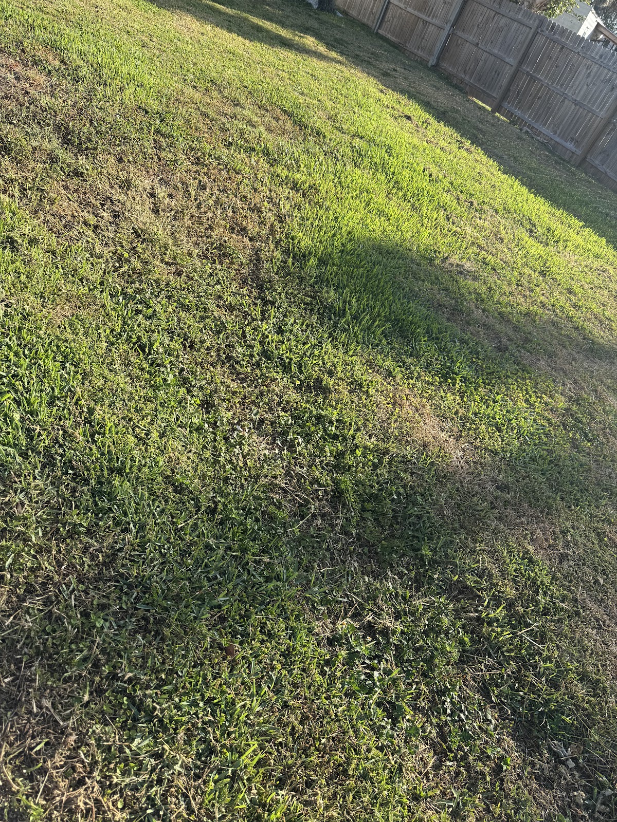 Scooper Troopers – Pet Waste Removal Service in Lee County - Photo 4