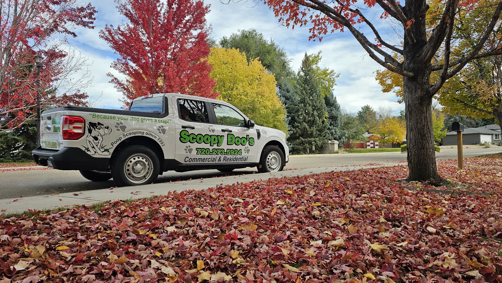 Scoopy Doo's - Photo 2