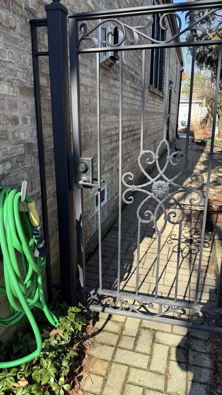 Paws and Scoops - Photo 3