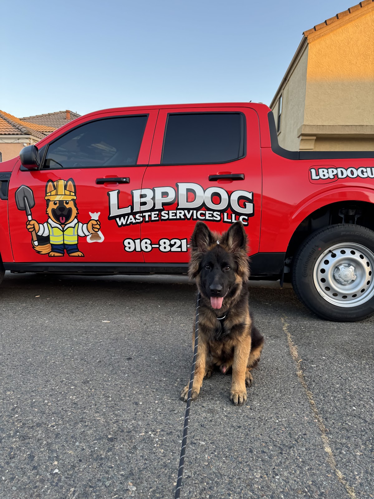 LBP Dog Waste Services